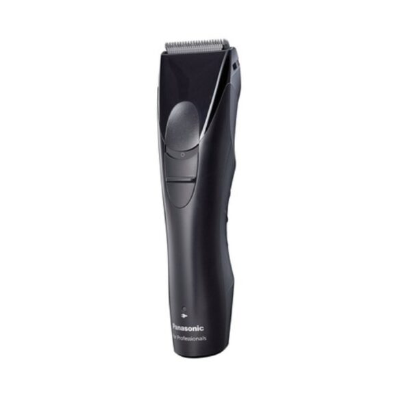 panasonic er gp30